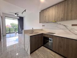 Leedon Green (D10), Condominium #465358551
